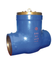 Pressure Seal Check Valve