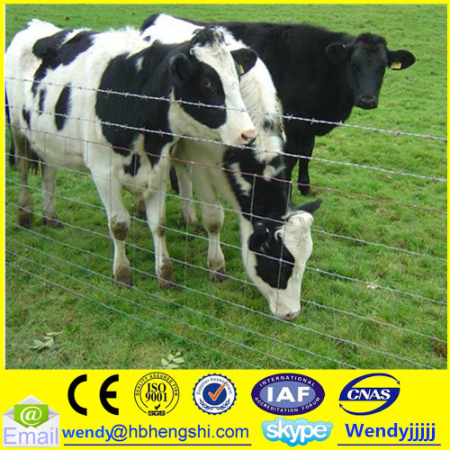 Wholesale bulk cattle fence/cattle fence post/cattle fencing panels metal fence