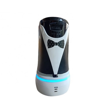 Best Quality Hotel Robot Service