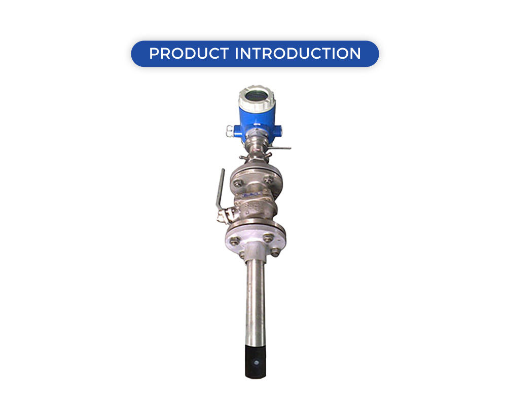 Встроенный погружной магнитометр X с фланцевым креплением Flange-mounted integral insertion magmeter X