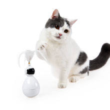 Interactive Cat Tumbler Toy