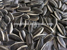 Export sunflower seeds organic sunflower seeds black sunflower seeds