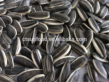 Export sunflower seeds organic sunflower seeds black sunflower seeds