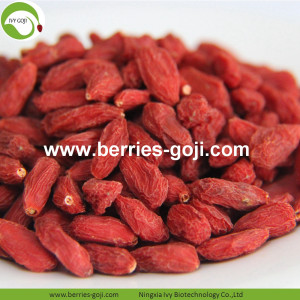 スーパーフードドライLas Bayas De Goji