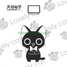 TS-2012A07 electric bath scale