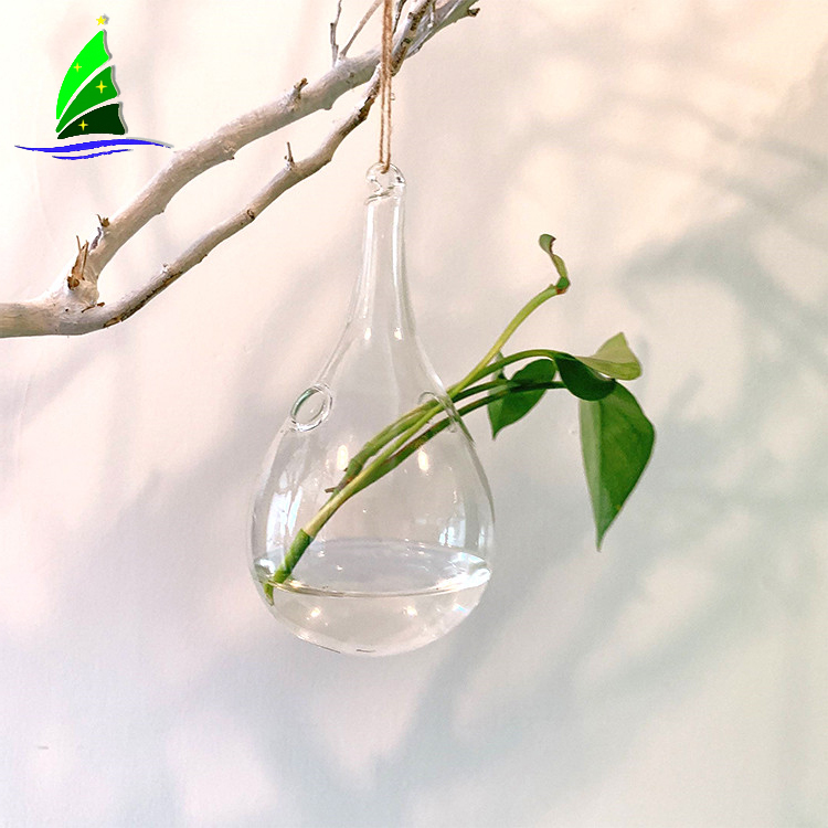 transparent hanging hydroponic glass vase