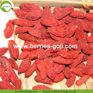 Factory Wholesale Dry Fruits Sun Dry Wolfberry