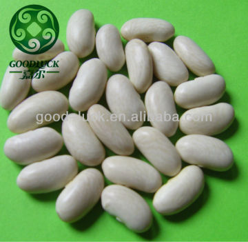 Baishake White Kidney Beans,long shape