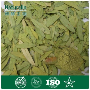 Pure Natural senna leaves powder 15% Sennosides for dietary supplement