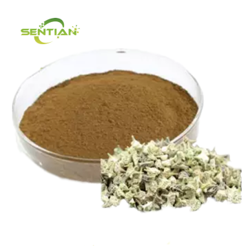 Wholesale Tribulus Terrestris Extract