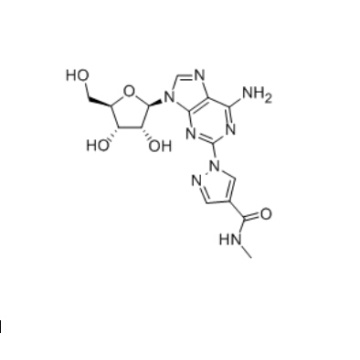 Selective A2A Adenosine Receptor REGADENOSON 313348-27-5