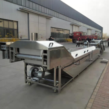 Precooking Pasteurizer Machine for Food, Fruit, Vegetable, and Mushroom