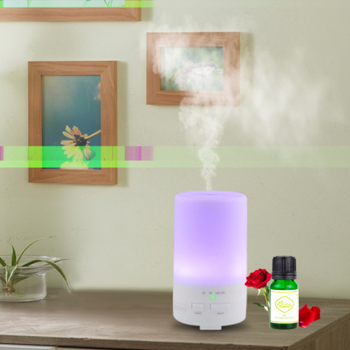 Mini diffuseur d'arôme blanc et huiles et humidificateur