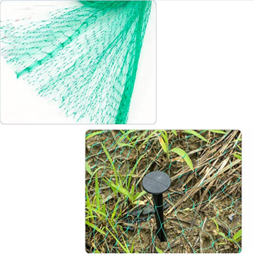 Plastic Diamond Anti Bird Netting