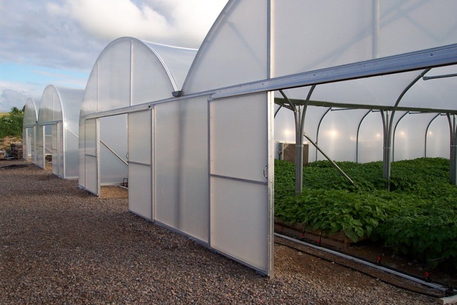 Multi span greenhouse