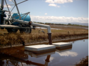 field irrigation sprinklers