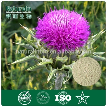 100% Natural Milk Thistle Extract/Milk Thistle Extract Powder/ Milk Thistle Powder