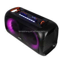 Temeisheng Dual 6.5 Inch Portable Karaoke Speaker Hifi Stereo Bass