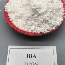 Auxin Indole 3 Butyric Acid IBA