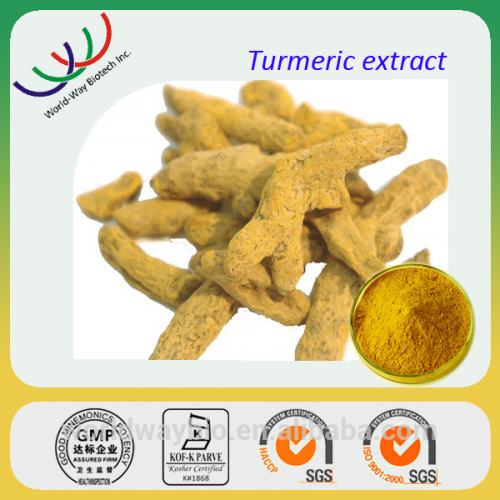 Pure natural Turmeric extract curcumin 95% , Free samples Turmeric root extract curcumin powder, bulk curcumin powder