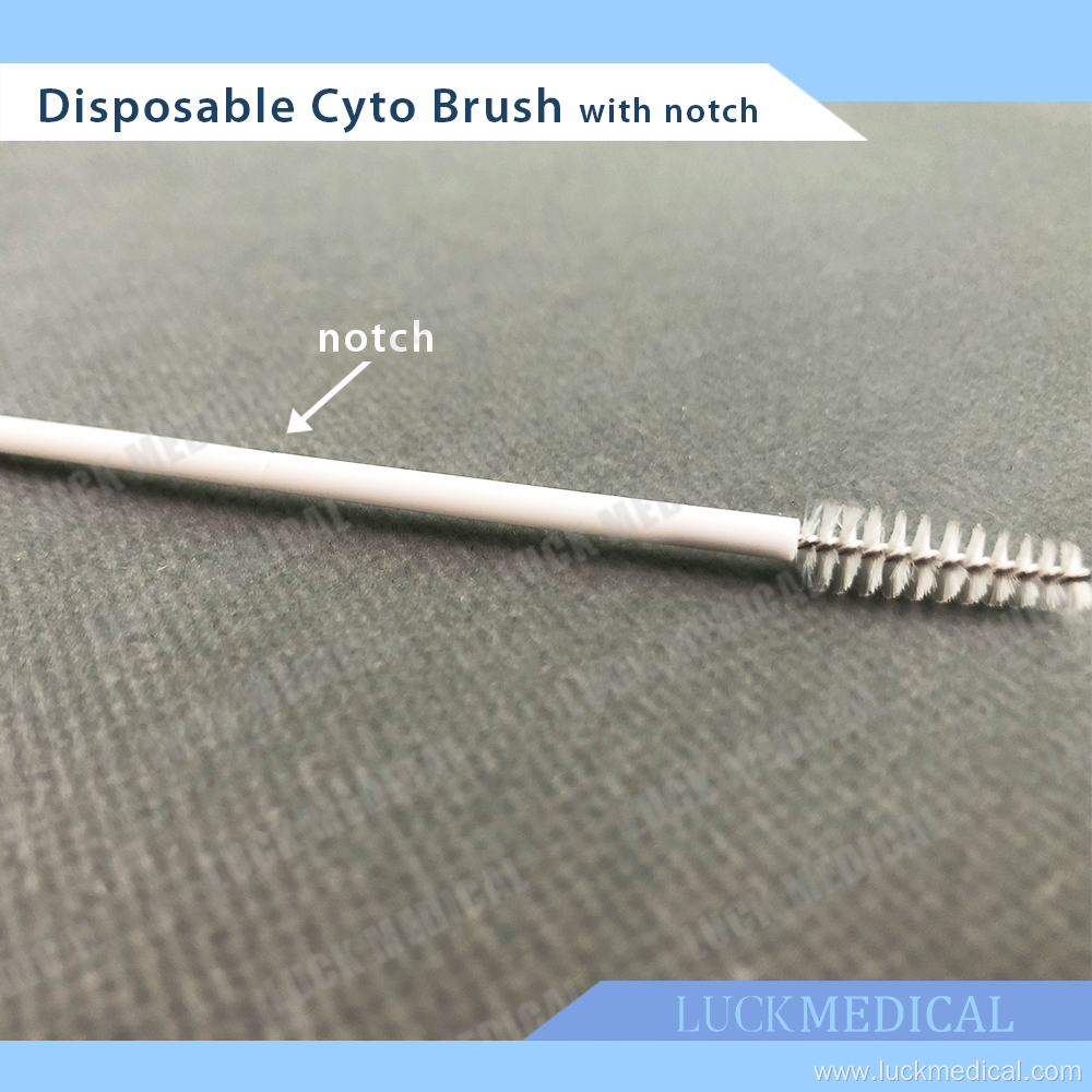 Disposable Cyto Brush with Notch