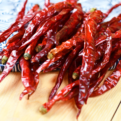 New crop Erjingtiao pepper high flavor slightly spicy
