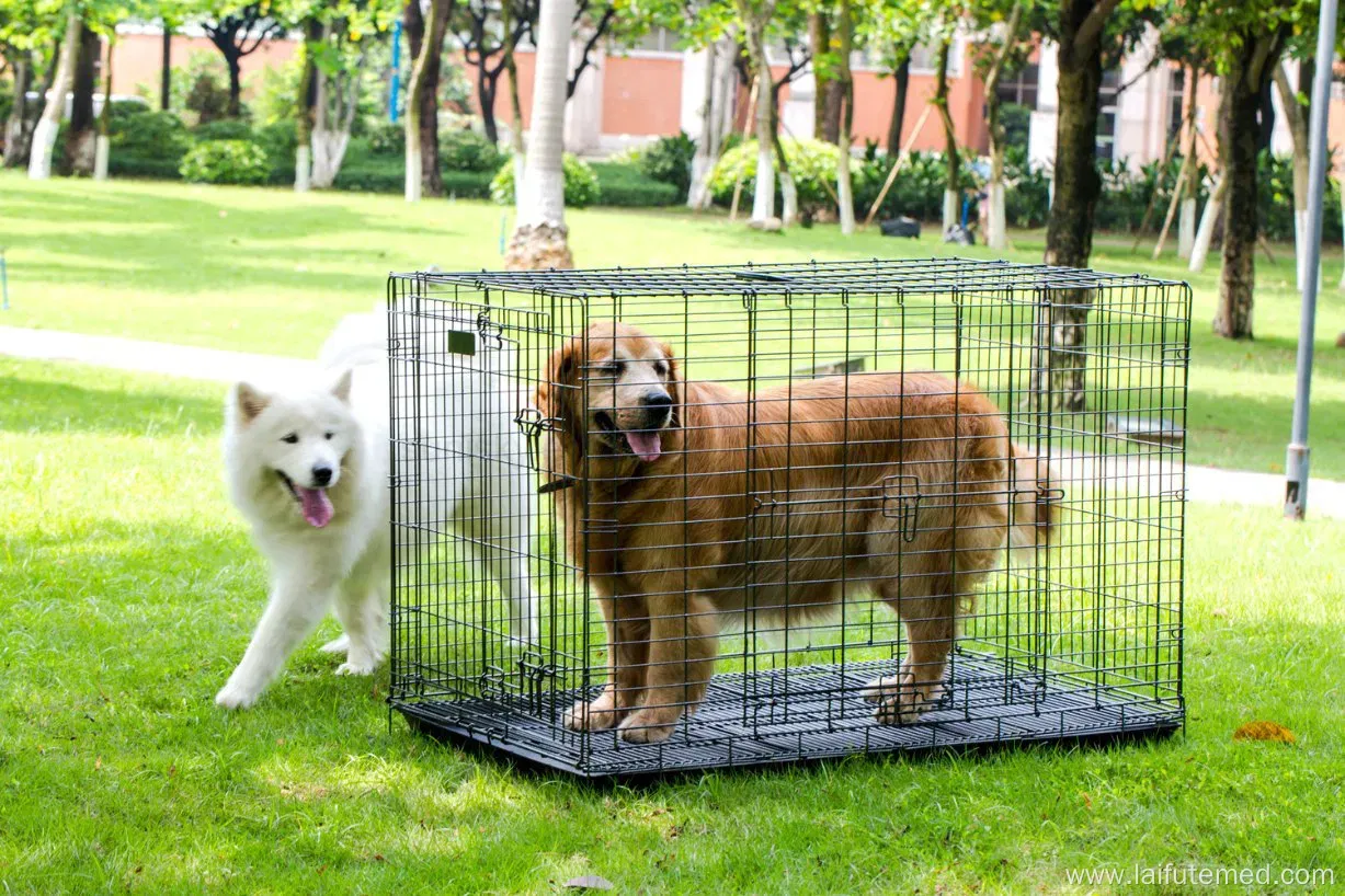Foldable Iron Pet Carrier Cage for Dogs and Cats