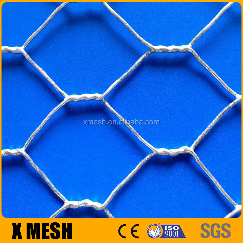 ASTM A390 hot sale Hot Galvanized electric net poultry for Agricultural