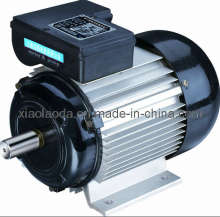 Capacitors Start Electric Motor/YC Motor