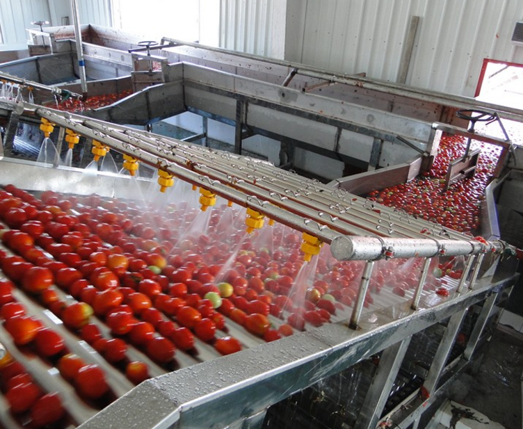 CIP cleaning system for tomato paste production line