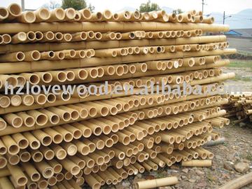Bamboo Raw Materials