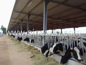 Easy install steel structure poultry farm cowshed