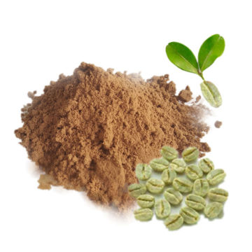 High Quality Green Coffee Bean Extract