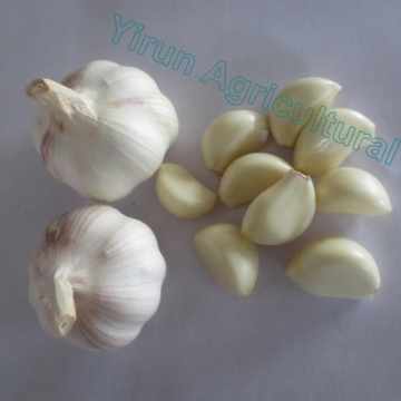 Normal White Pure White Garlics of 2018 Crops