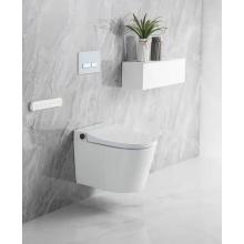 Baño Ware Ware Ceramic Washdown Wall-Hung Wit