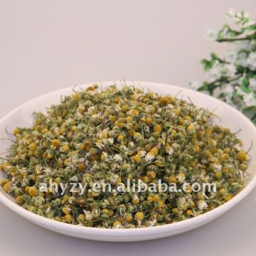 Chamomile Flower(yangganju)