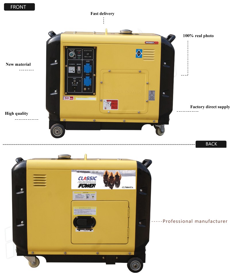 BISON(CHINA) Portable Diesel Generator Price 10hp diesel generator set