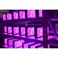 Groothandel LED Grow Lights voor Geenhouse