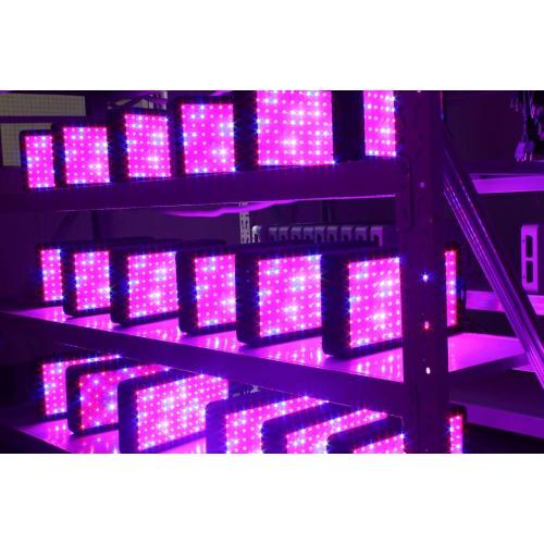 Wholesale LED Grow Lights für Geenhouse