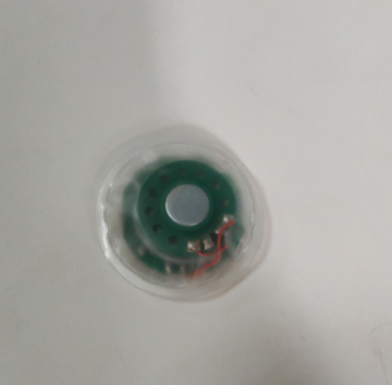 Waterproof recording bag Voice module