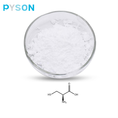 L Cysteine powder AJI Standard