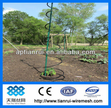 Spiral Tomato Plant Stakes