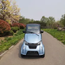 4 Wheel 2000W Electric Sharing Cabin Scooter with Sharing System