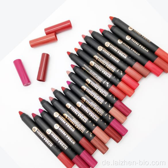 Benutzerdefinierte Make-up Lippenstift Stift matt wasserdichte Kosmetik