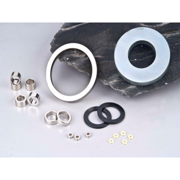 Hot Sale Ring Sintered Ndfeb Magnet