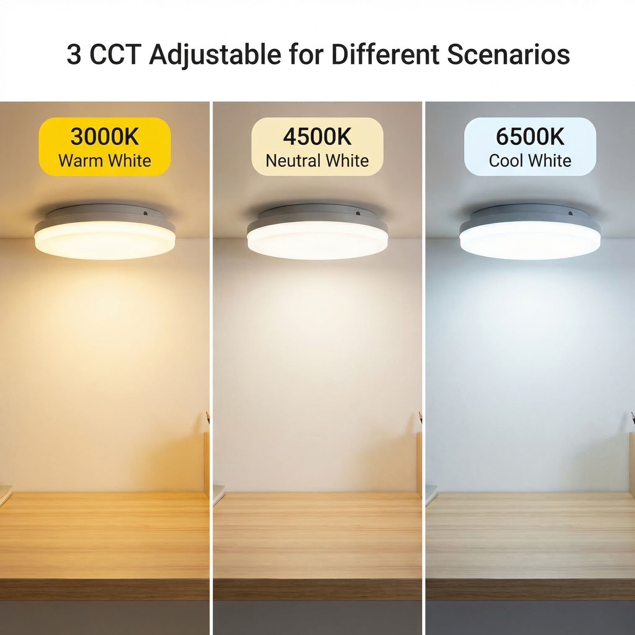 Multi-functional 5W Emergency LED Downlight IP65