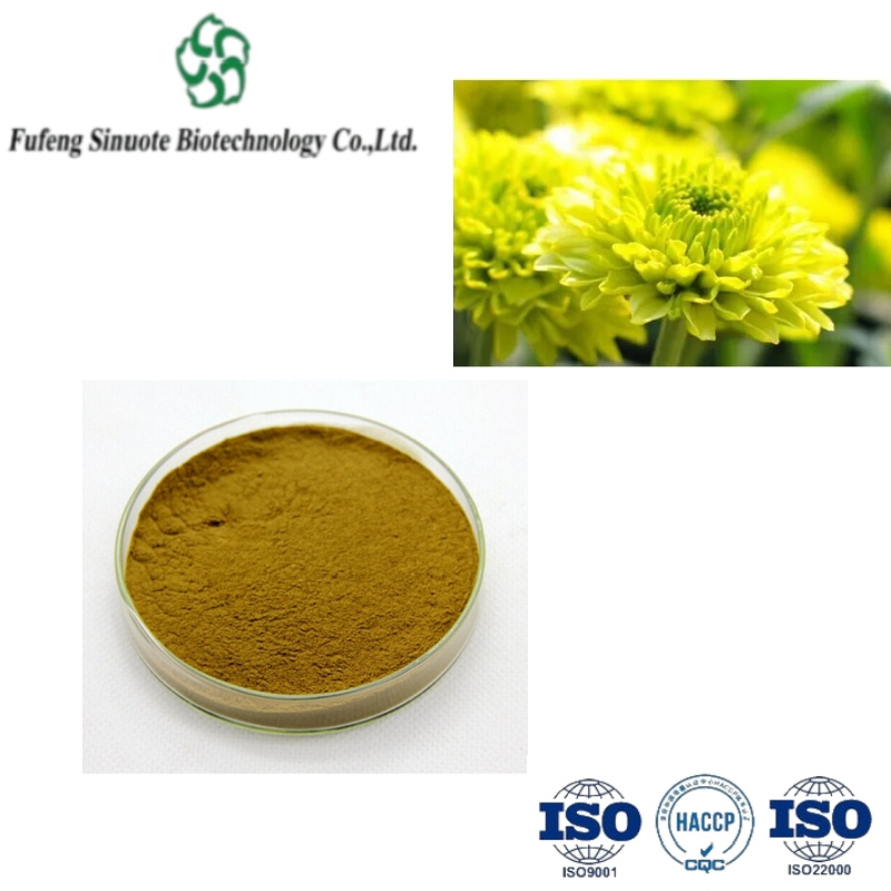 Inulin-Fiber-Sweetener-a-Smart-Choice-for-Health-Enthusiasts Inulin-Fiber-Sweetener-a-Smart-Choice-for-Health-Enthusiasts