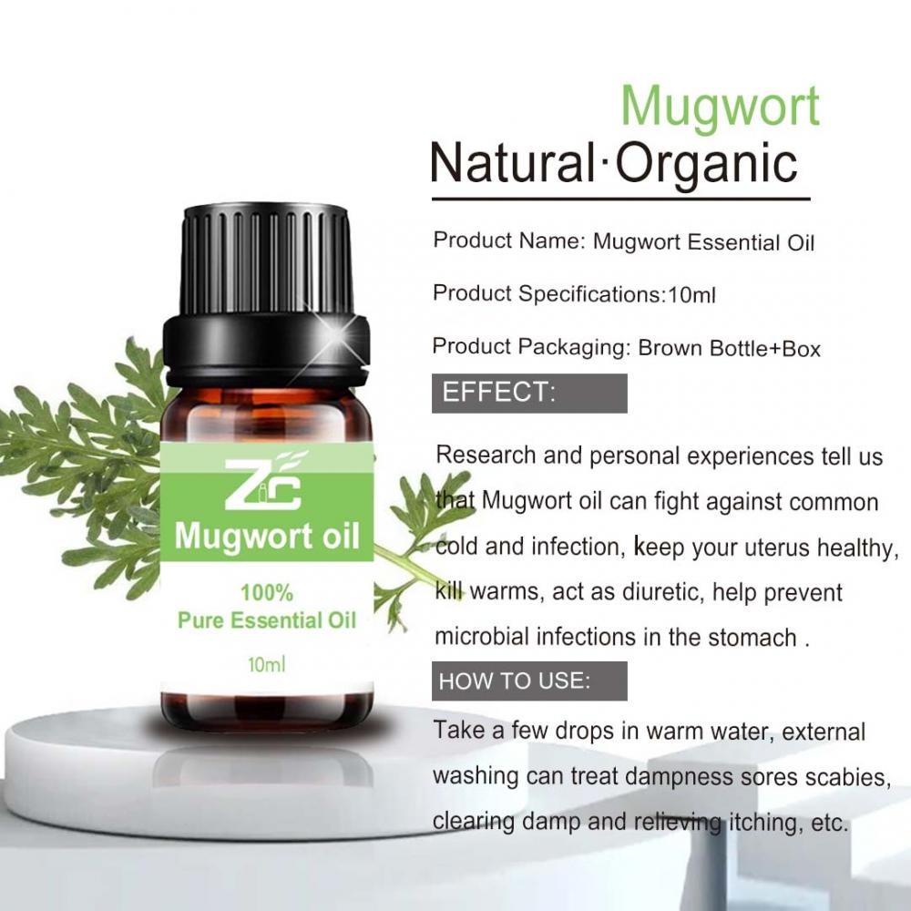 신체 건강을위한 순수한 천연 식물 mugwort 오일