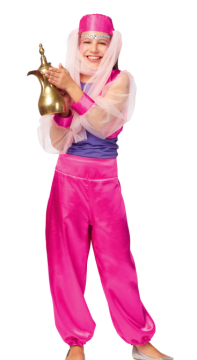 children belly dancer costumes/ Aladdin princess costumes/gift costumes