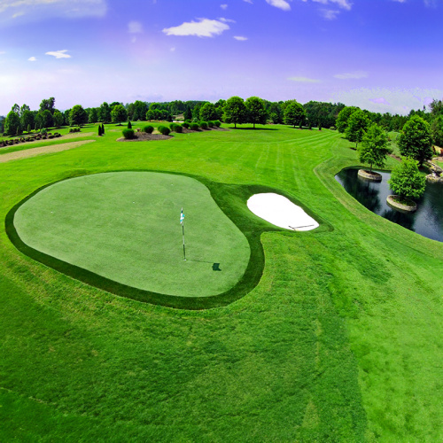 Configuration du parcours de golf sans couture: Golf Field Artificial Grass